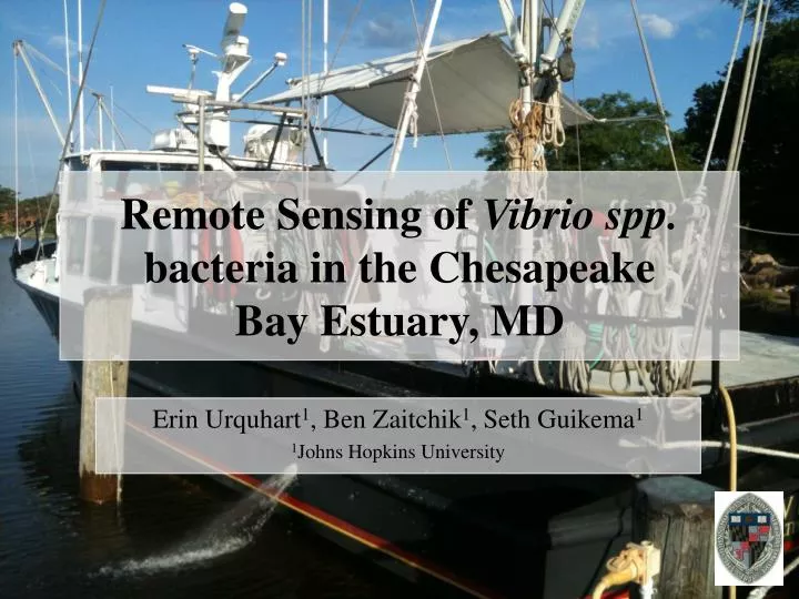 remote sensing of vibrio spp bacteria in the chesapeake bay estuary md