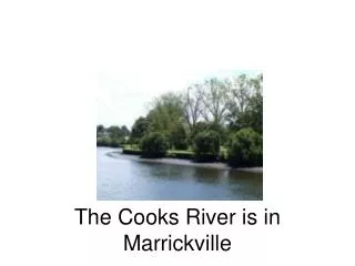 The Cooks River is in Marrickville