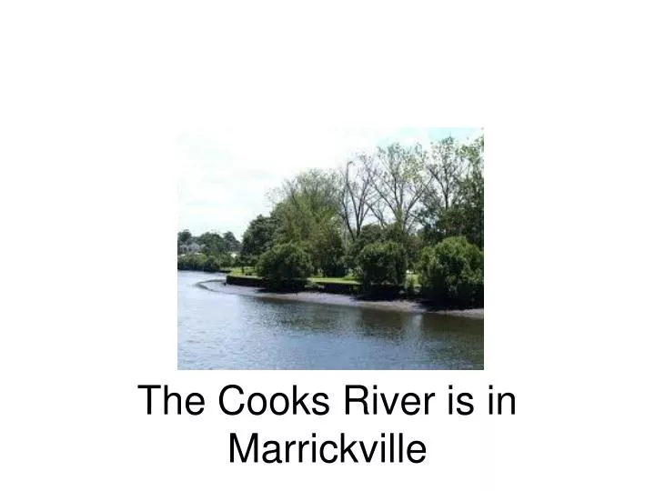 the cooks river is in marrickville