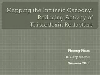 Mapping the Intrinsic Carbonyl Reducing Activity of Thioredoxin Reductase