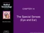 The Special Senses (Eye and Ear)