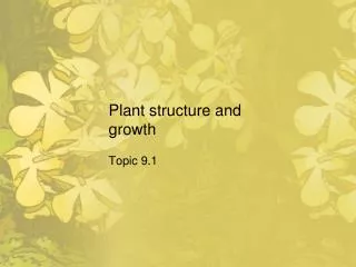 Plant structure and growth