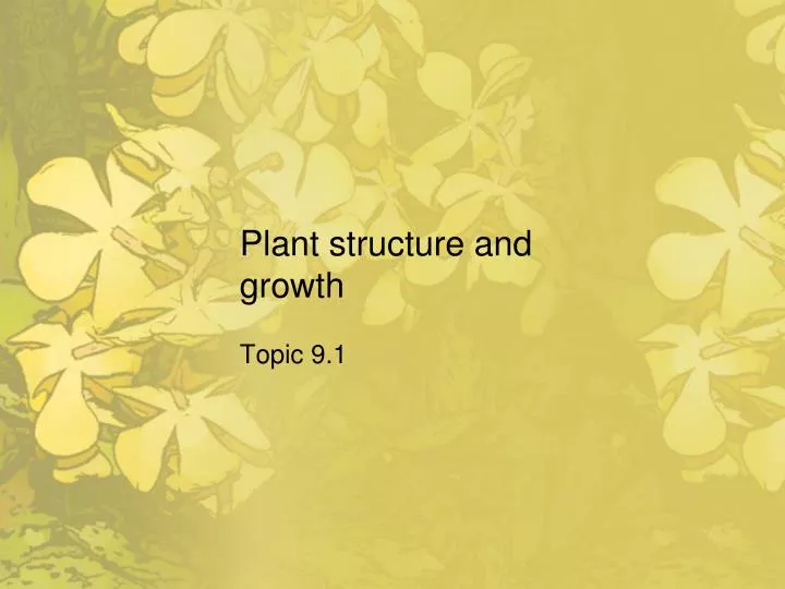 plant structure and growth