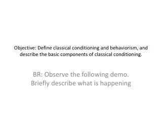 BR: Observe the following demo. Briefly describe what is happening
