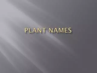 Plant names
