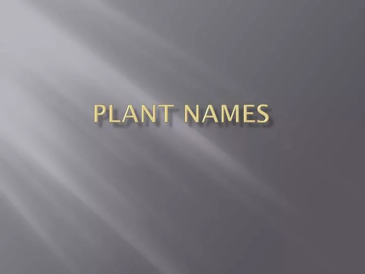 plant names