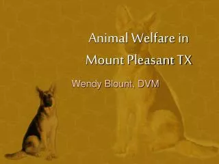 Animal Welfare in Mount Pleasant TX