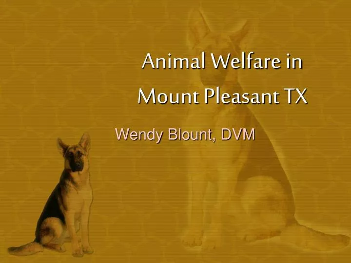 animal welfare in mount pleasant tx
