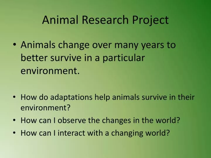 animal research powerpoint project