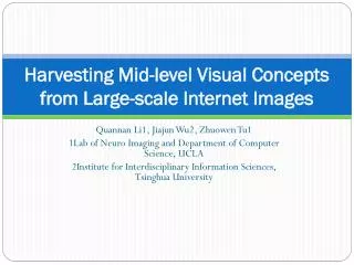 Harvesting Mid-level Visual Concepts from Large-scale Internet Images