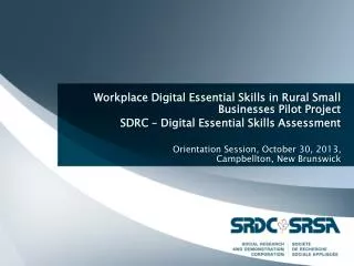Workplace Digital Essential Skills in Rural Small Businesses Pilot Project