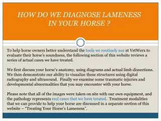 HOW DO WE DIAGNOSE LAMENESS IN YOUR HORSE ?