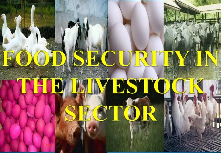 food security in the livestock sector