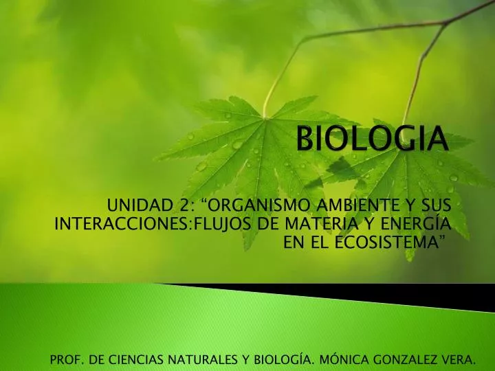 unidad 2 organismo ambiente y sus interacciones flujos de materia y energ a en el ecosistema