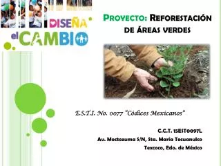proyecto reforestaci n de reas verdes