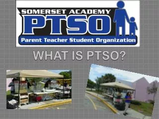 WHAT IS PTSO?