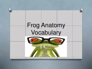 Frog Anatomy Vocabulary