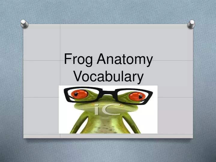 frog anatomy vocabulary