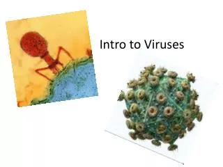 Intro to Viruses
