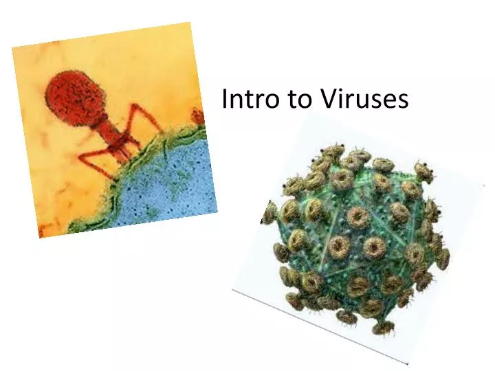 intro to viruses