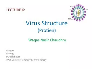 Virus Structure ( Protien )