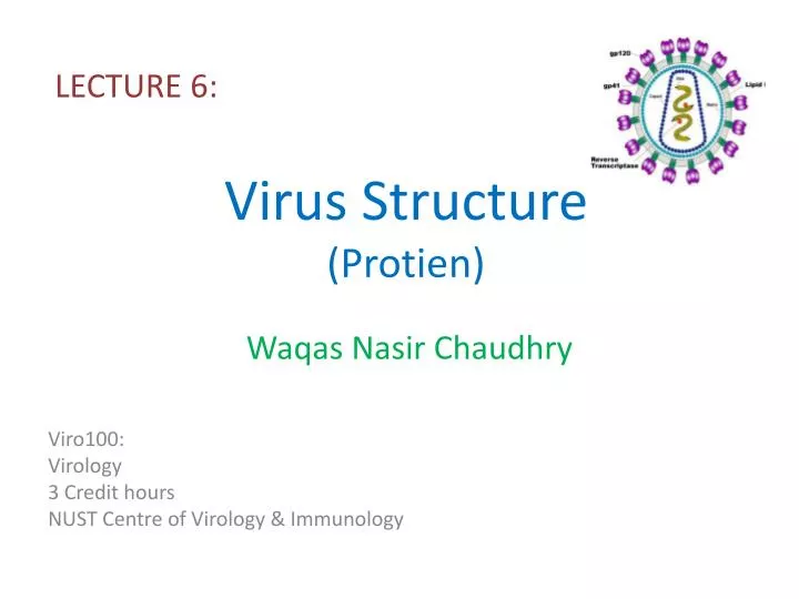 virus structure protien