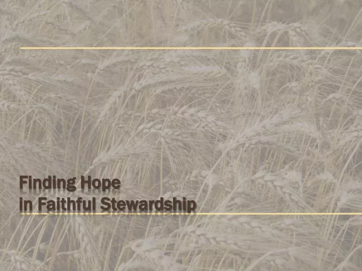 finding hope in faithful stewardship