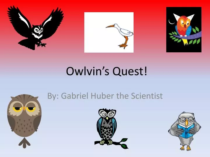owlvin s quest
