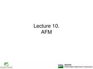 Lecture 10. AFM