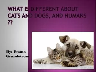 What is different about cats and dogs, and humans ??