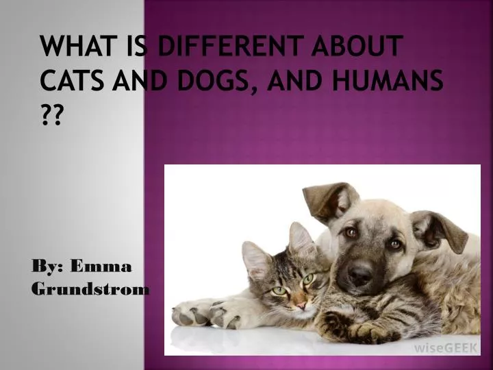 what is different about cats and dogs and humans