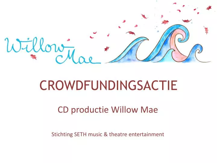 crowdfundingsactie
