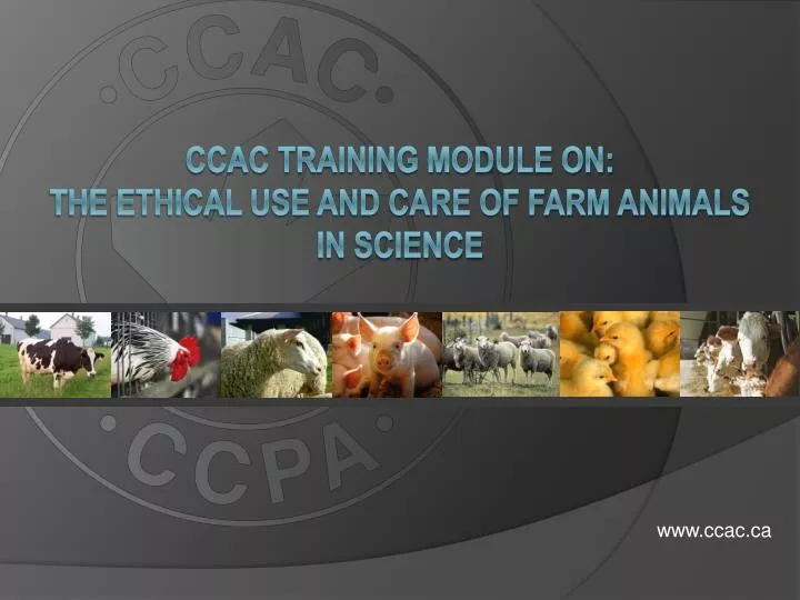 ccac training module on the ethical use and care of farm animals in science