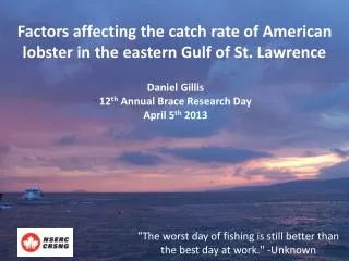 Factors affecting the catch rate of American lobster in the eastern Gulf of St. Lawrence