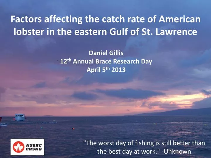 factors affecting the catch rate of american lobster in the eastern gulf of st lawrence