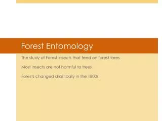 Forest Entomology