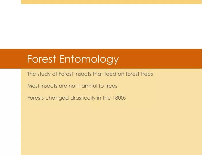 forest entomology