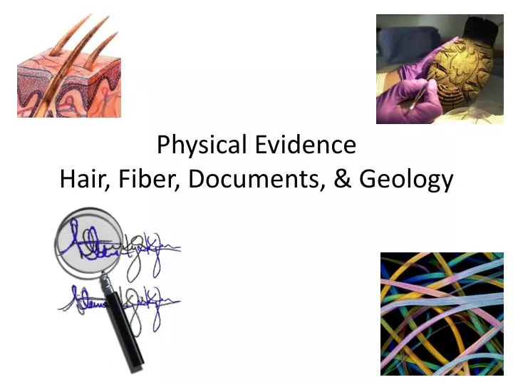 physical evidence hair fiber documents geology