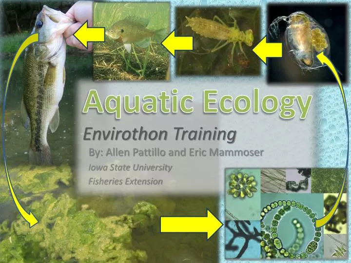aquatic ecology envirothon training