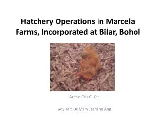 Hatchery Operations in Marcela Farms, Incorporated at Bilar , Bohol