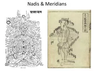 Nadis &amp; Meridians
