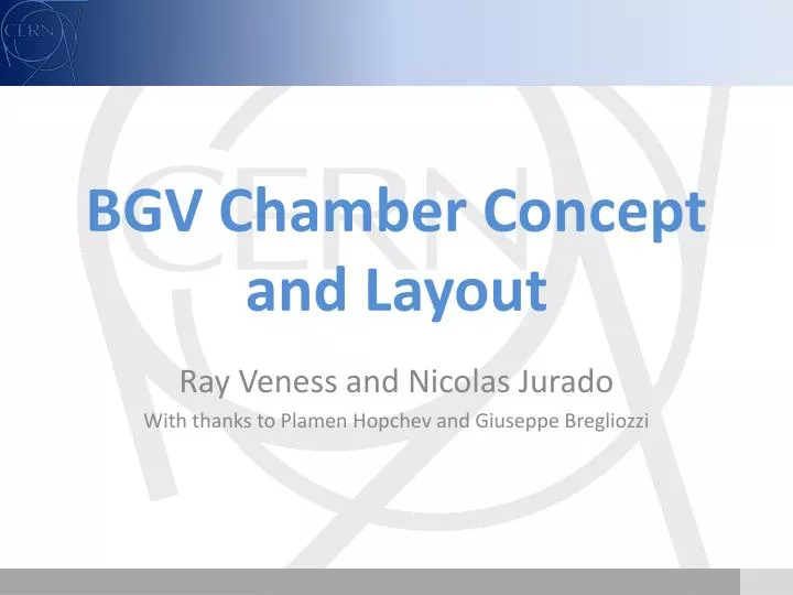 bgv chamber concept and layout