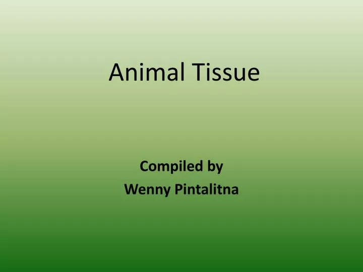 animal tissue