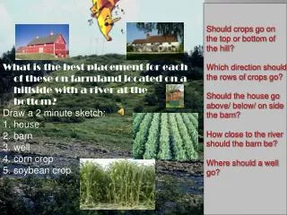 Should crops go on the top or bottom of the hill? Which direction should the rows of crops go ?