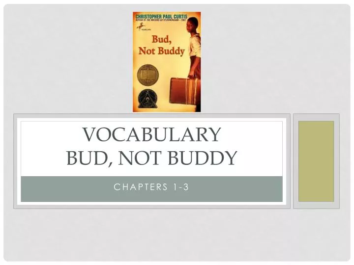 vocabulary bud not buddy