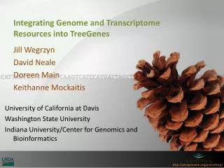 Integrating Genome and Transcriptome Resources into TreeGenes