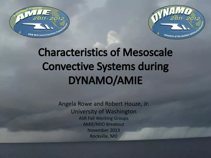 characteristics of mesoscale convective systems during dynamo amie