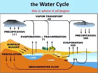 the Water Cycle