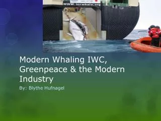 Modern Whaling IWC, Greenpeace &amp; the Modern Industry