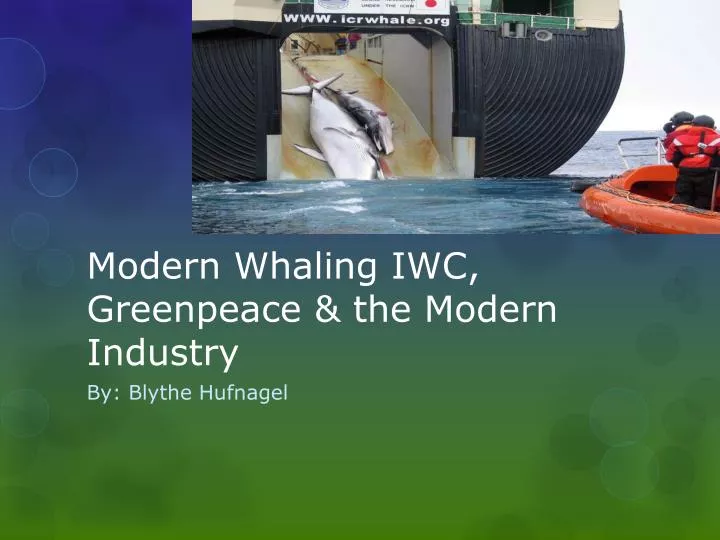 modern whaling iwc greenpeace the modern industry